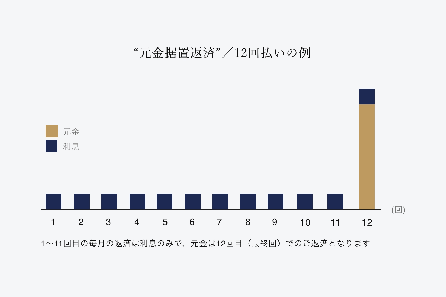”元金自由返済”／12回払いの例